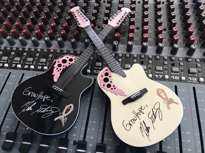 Custom Acoustic Mini Guitars for Charity Event