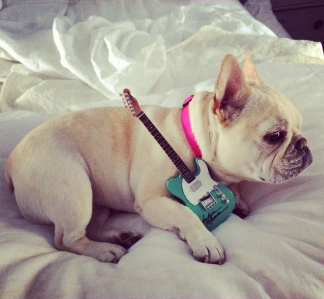 wedding-guitar-invite-puppy