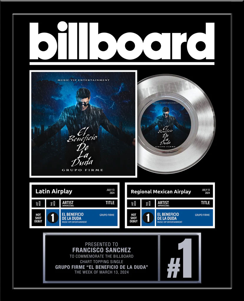 DOUBLE or TRIPLE CHART - BILLBOARD Record Award - Platinum 7" Record Album Award - 18" x 22" Framed Artist & Band