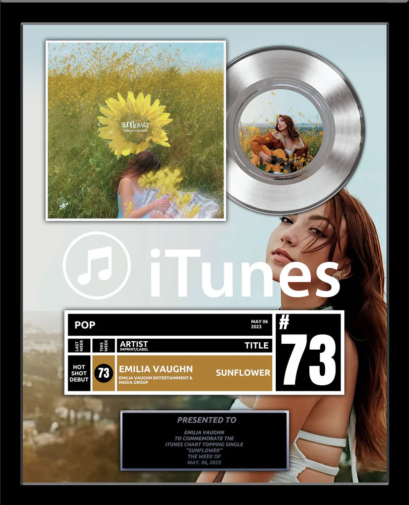 iTunes Recognition - TOP of CHARTS Real Platinum 7" Record Album Award - 18" x 22" Framed