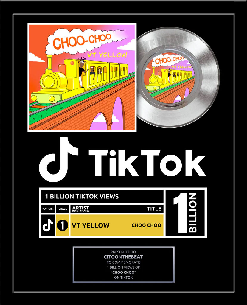 TikTok VIEWS Record Award - REAL Platinum 7" Record Album Award - 18" x 22" Framed for Influencers